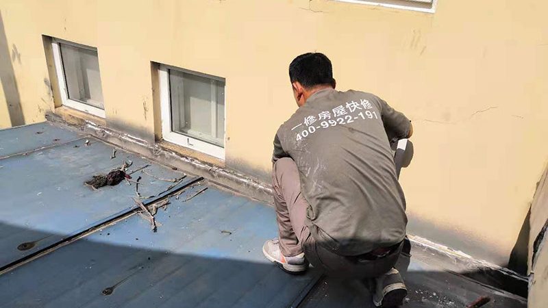 非固化防水涂料：揭秘排名前十的品牌背后的技术实力